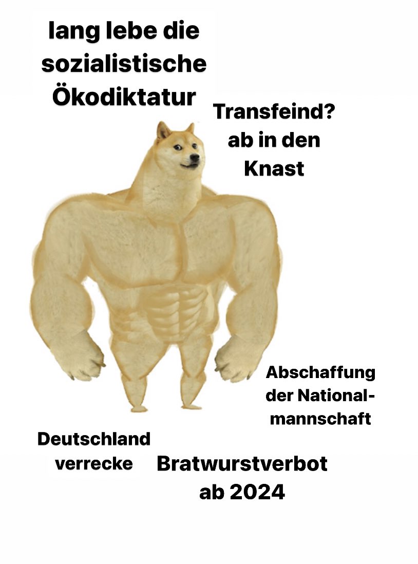 E L H O T Z O tweet media