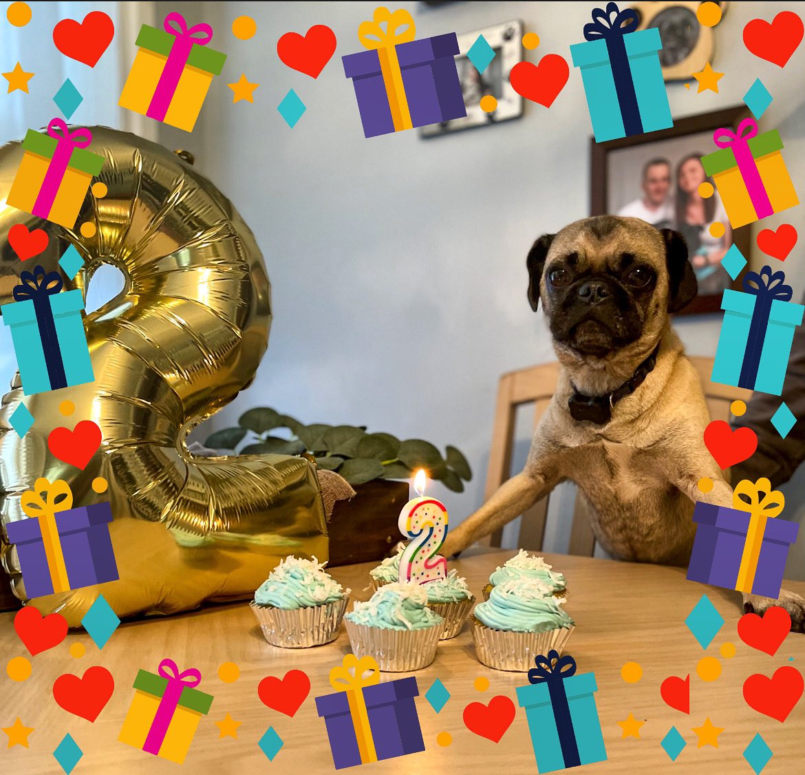 Deisel, Pepper and Skippy tweet media