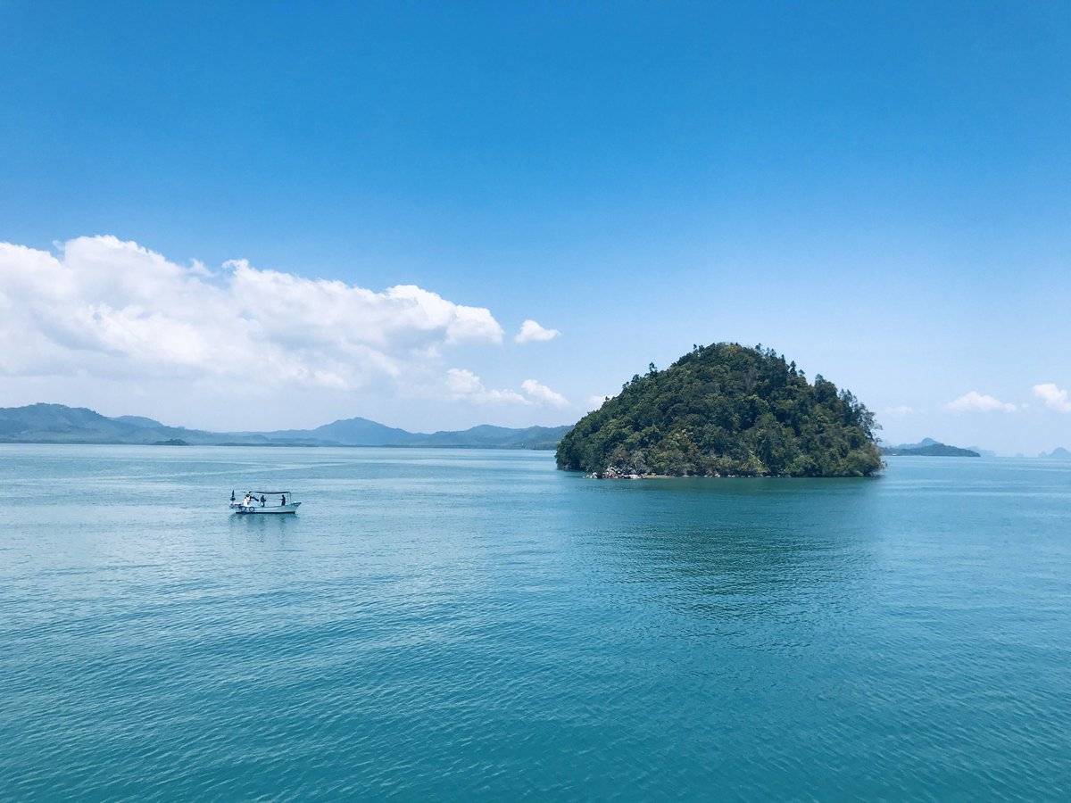 Ms. Rubinstein tweet media