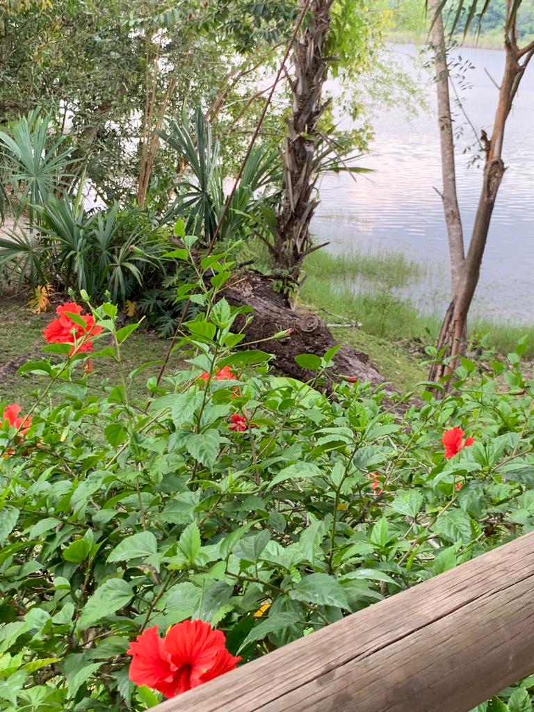 Gracias a nuestros clientes que ayer iniciaron tour a TIKAL desde BACALAR, pasando x Belize, gracias a Wilson, guía en TIKAL y al hotel Villa Maya d Flores, enclavado a orillas d las lagunas Petenchel y Monifata
DESDE EL SUR DE Q ROO, VISITA TAMBIÉN CENTROAMÉRICA! <a href="/LigiaSierraA/">Ligia Sierra Aguilar</a>