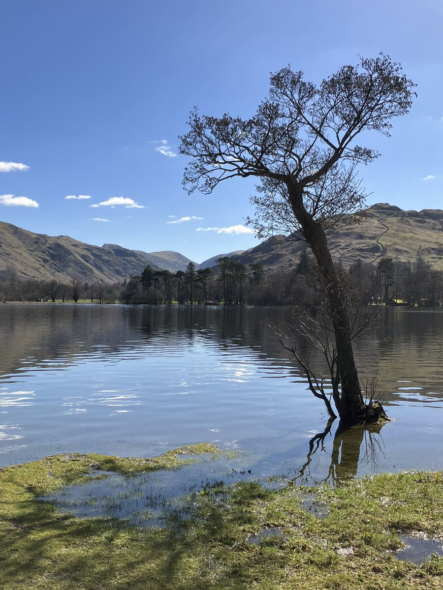 MeiLoft's tweet image. What a glorious day down at Ullswater #LakeDistrict