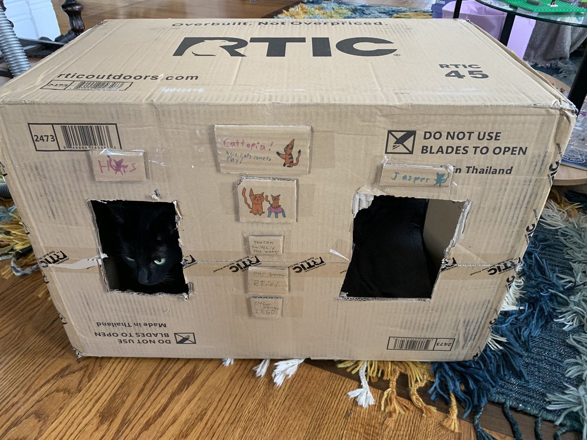 RyanCrow22's tweet photo. @RTICCoolers  new cooler for us means new Catopia for Jasper and Hops created by our daughter, Charlie. Thank you for your sponsorship. https://t.co/xeNBFaVgyr