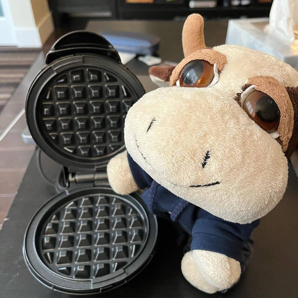 Humans bought me a moo sized waffle 🧇 maker! Hmmm…. Hope this doesn’t mean I’m on breakfast duty from now on…. #moo #marlowmoo #waffles #stuffedanimals #stuffedanimalsofinstagram #stuffies #stuffiesofinstagram #cowsofinstagram instagr.am/p/CqTq67iP7hl/