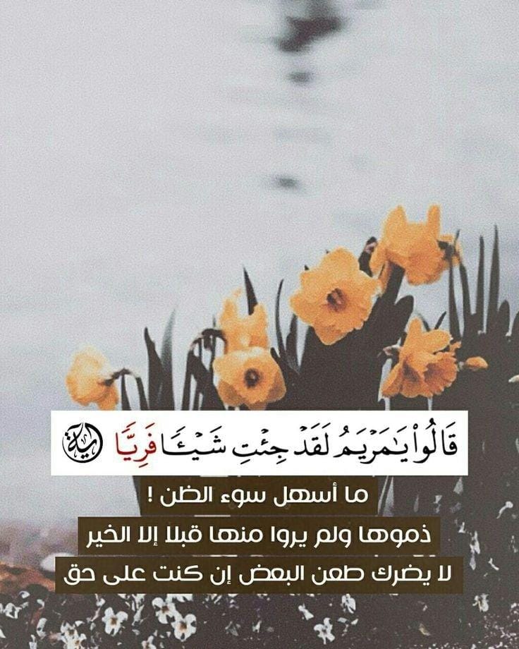 🌻*٥*رمضان*                             إياك وسوء الظن،والتمس لأخيك سبعين عذرا فإن لم تجد فعذرا واحداسوء الظن يهدم المحبة وينخر العلاقات،لا تحمل أي موقف أكثر من حجمه ودع الخلق للخالق ورجح الخير فربنا وحده يعلم مافي القلوب،عش أبيض القلب نقي النفس تسلم ف الدنيا والآخرة ان شاء الله*