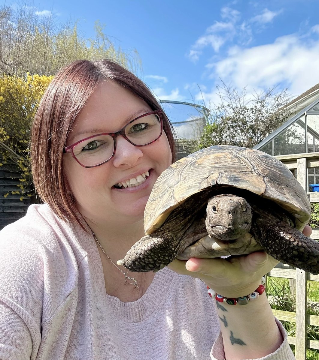 CharleeWharlee7's tweet photo. Our tortoises are out of hibernation today, both girls are doing well, yay :) #tortoises #hibernation #spurthighedtortoise #hermanntortoise https://t.co/CPEL6zzWVw