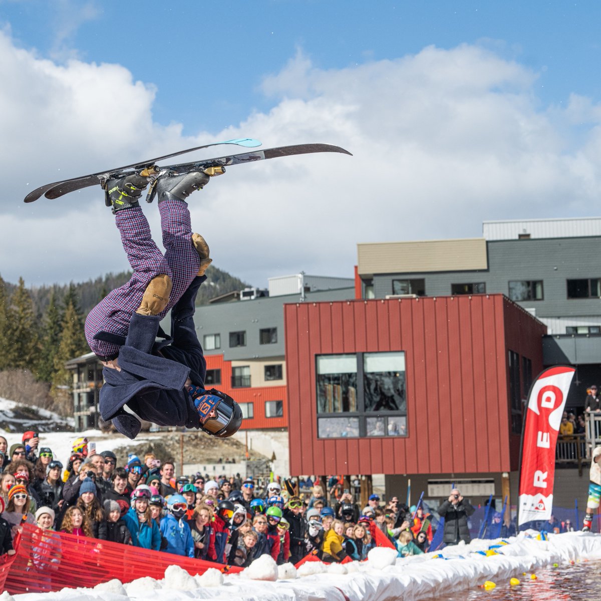 redresort tweet media