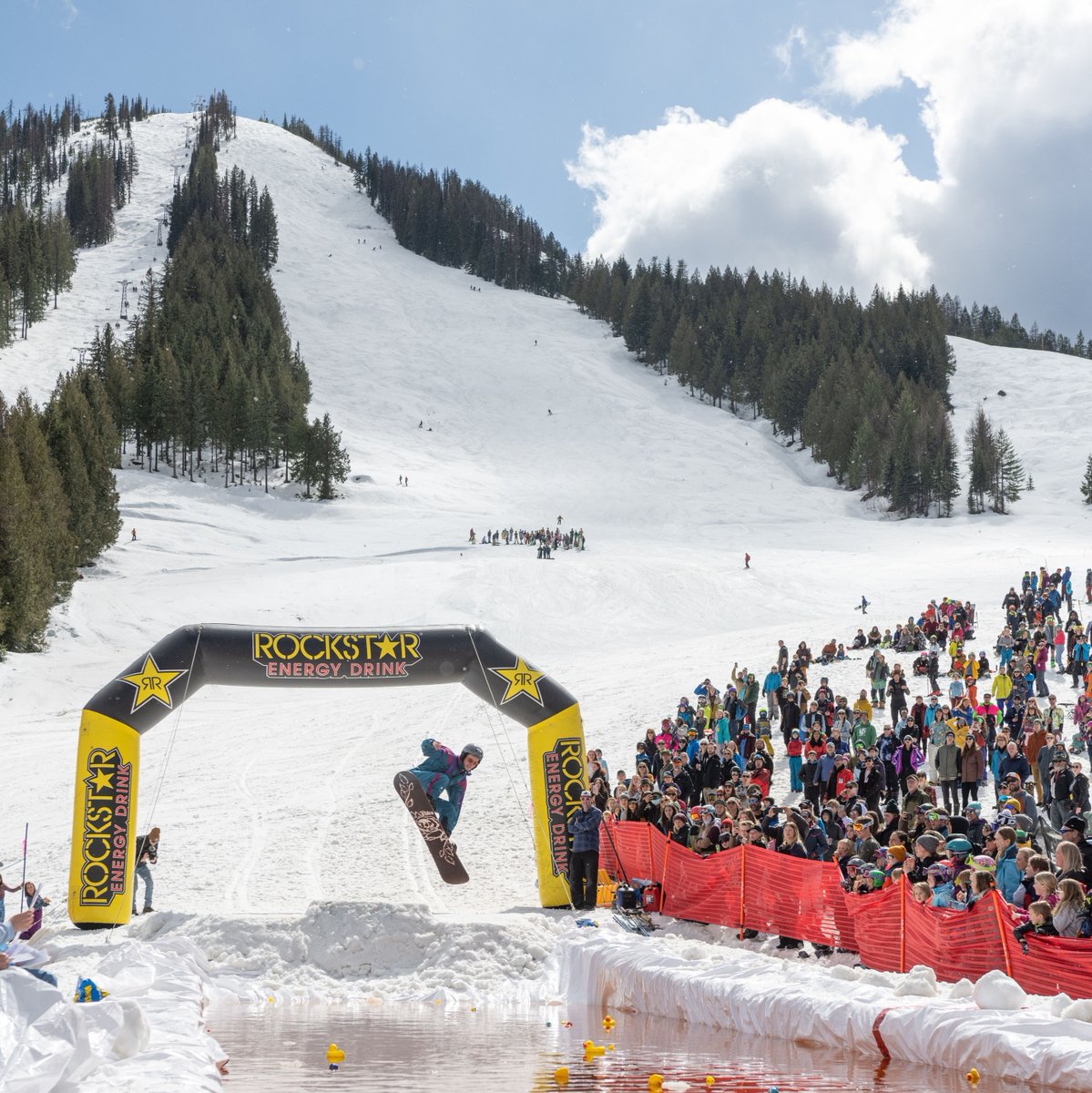 redresort tweet media