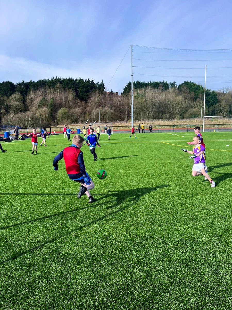 Fermanagh GAA Coaching & Games tweet media