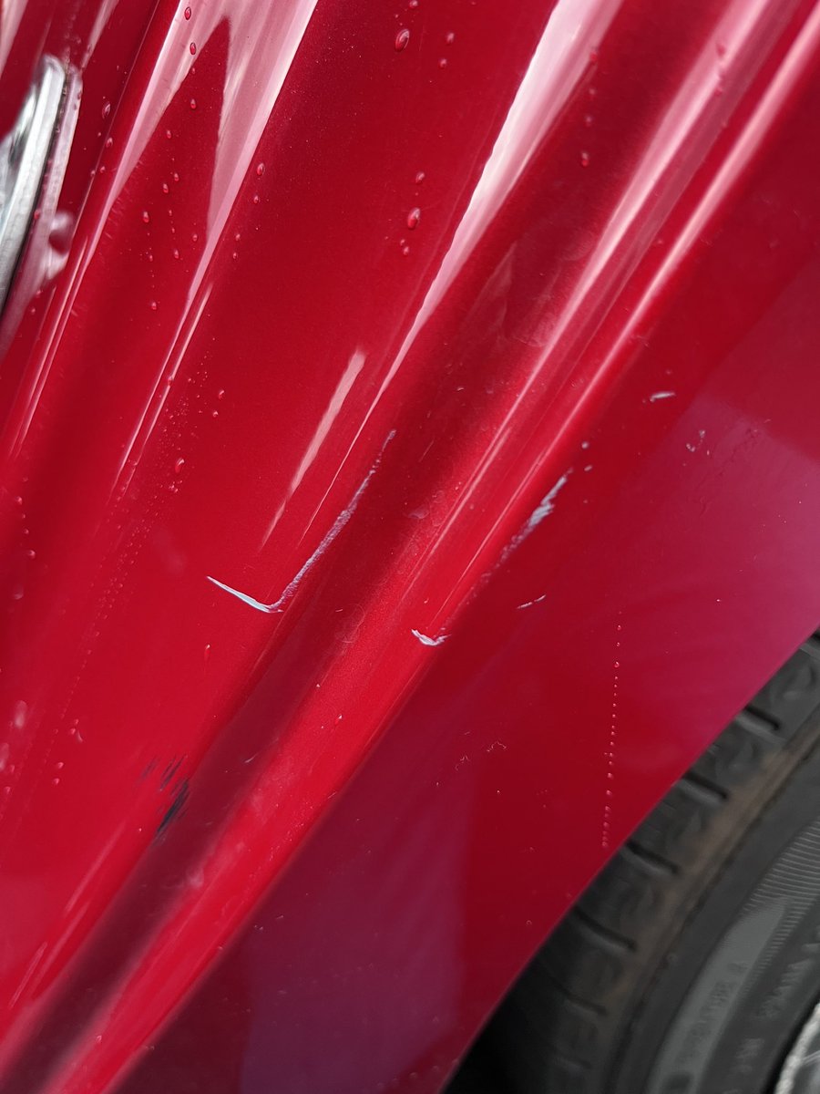 🎀 Diana 🎀 tweet media