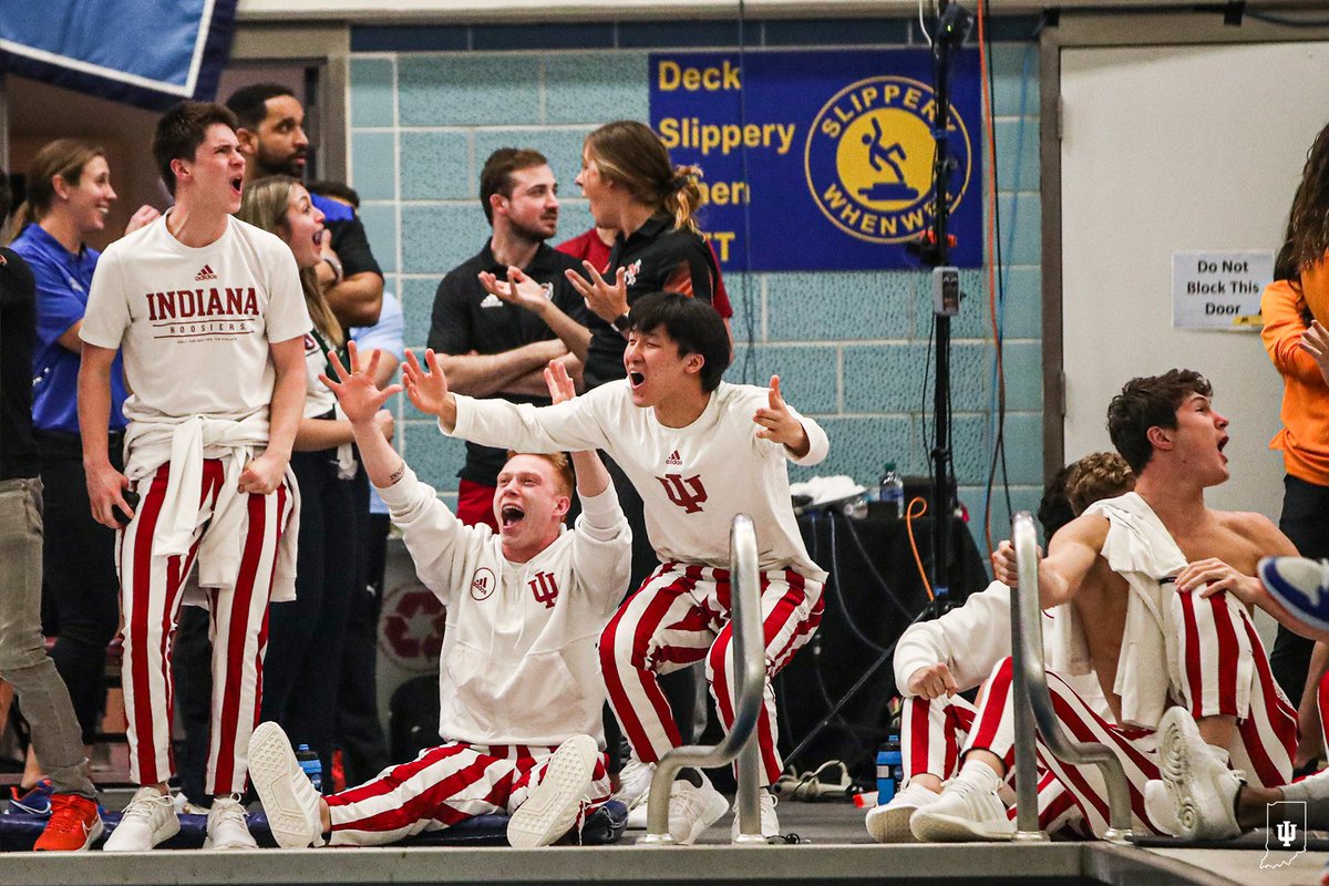 Indiana Swim & Dive tweet media