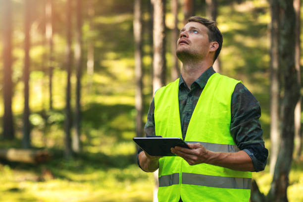 TheTreeDoctor4's tweet photo. Did you know that we offer free tree health assessments? Click here to learn more about them and to get in touch with us for an appointment in the Jonesborough area. https://t.co/orFJ9K4rdg https://t.co/5tYLE47fcn