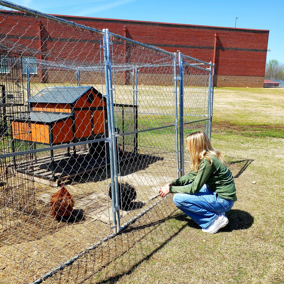 APilcherCHHS's tweet photo. Springtime chores on the Center Hill Farm 🌱🐣🐓🐇🥚🦃🦆 https://t.co/UtYPoxMszS