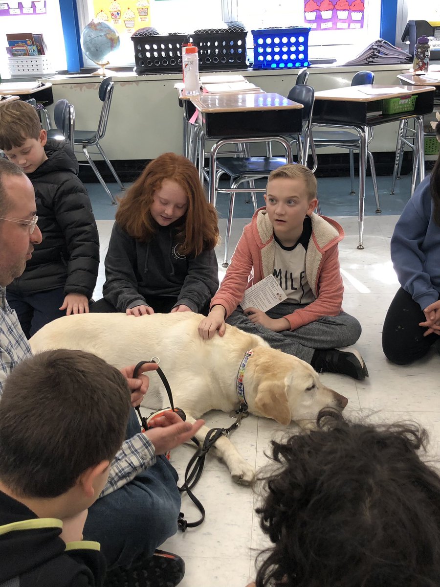 kcosta6915's tweet photo. Logan always makes Monday mornings so much brighter ☀️❤️ 🐶  @MrsRonansclass https://t.co/gVmM89YbgL