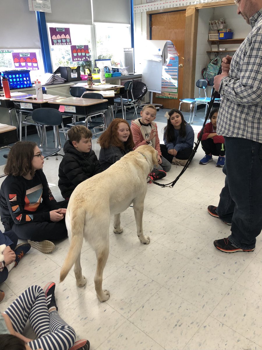 kcosta6915's tweet photo. Logan always makes Monday mornings so much brighter ☀️❤️ 🐶  @MrsRonansclass https://t.co/gVmM89YbgL