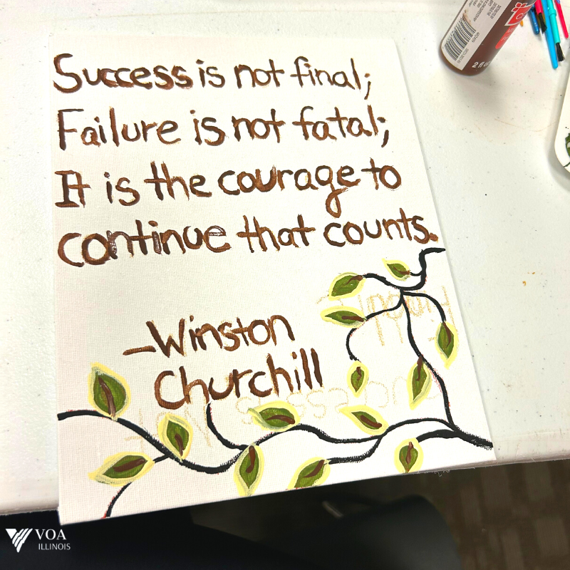 VOA Illinois tweet media