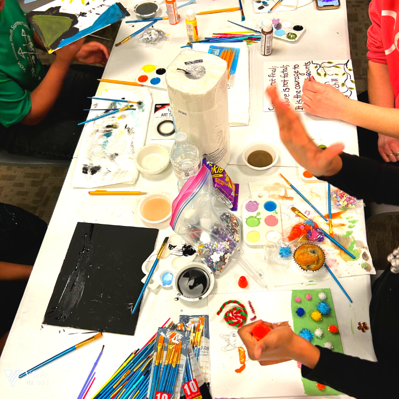 VOA Illinois tweet media