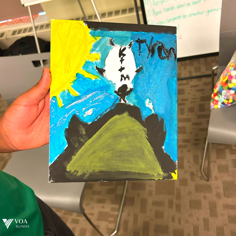 VOA Illinois tweet media