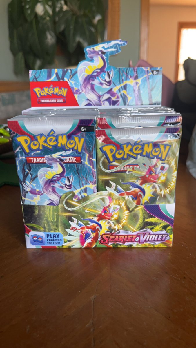 MagicTurtle545's tweet image. Wish me luck