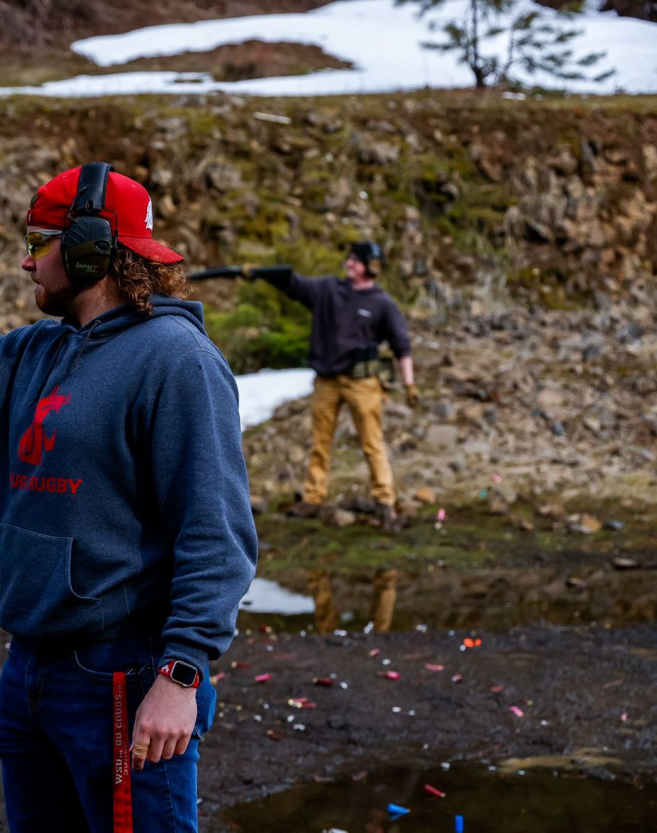 celltsar tweet media