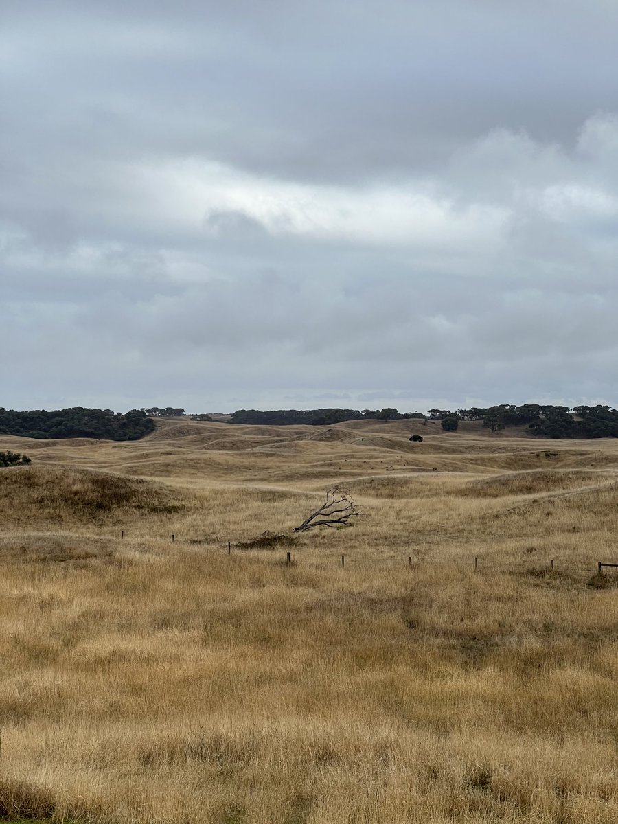 Mike Clayton tweet media