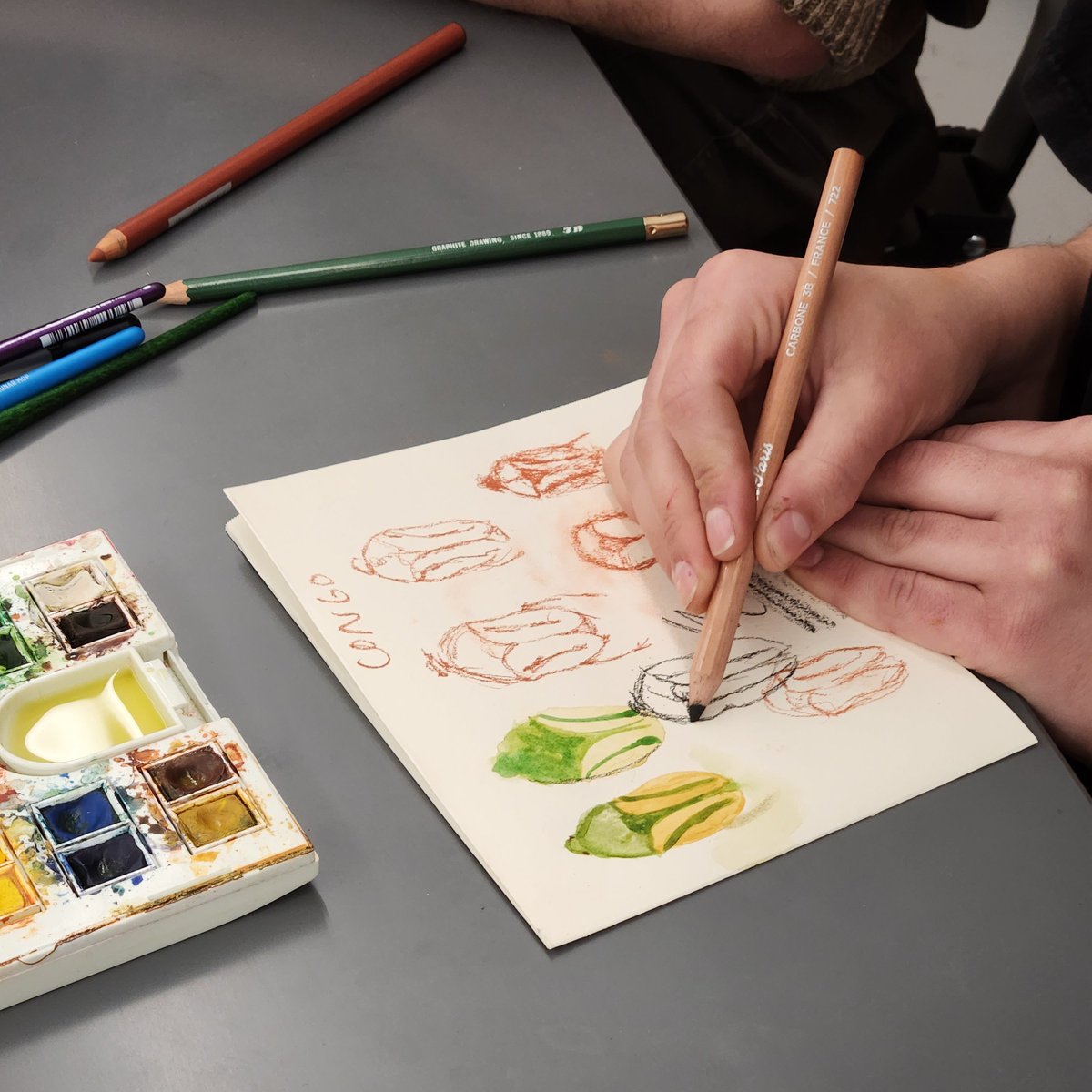 MSB Division of Amphibians and Reptiles tweet media