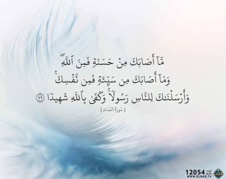 احمد صالح (@ahmd97927342853) on Twitter photo 