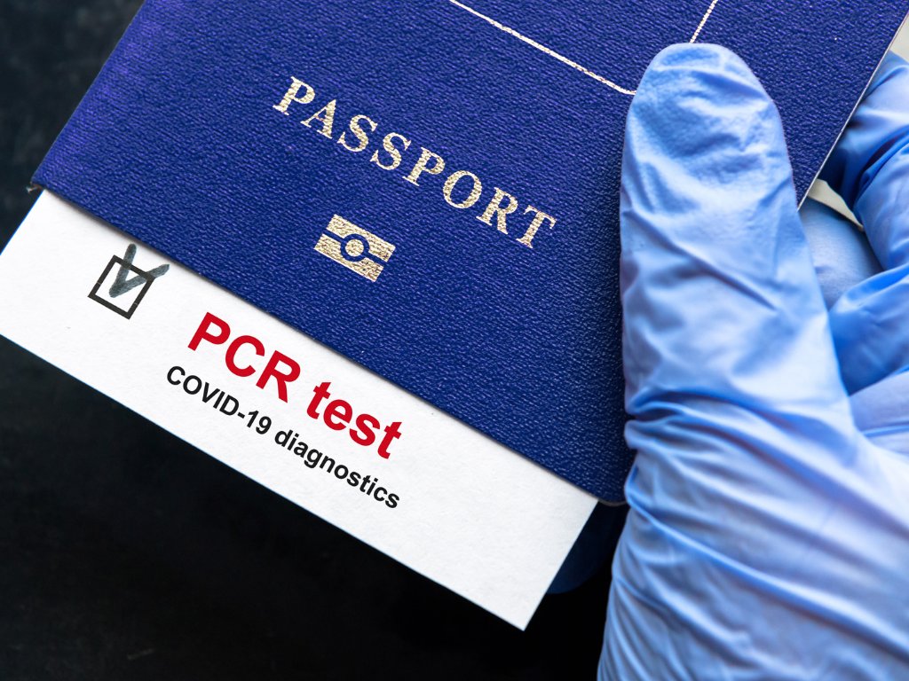 FlowHealthHQ's tweet photo. Check out our latest blog post to learn more about the "Stealth Omicron" variant and how our PCR testing solutions can keep up with the evolving nature of the virus. 

https://t.co/Ynz5UbpAwh https://t.co/85GQVOOaX6