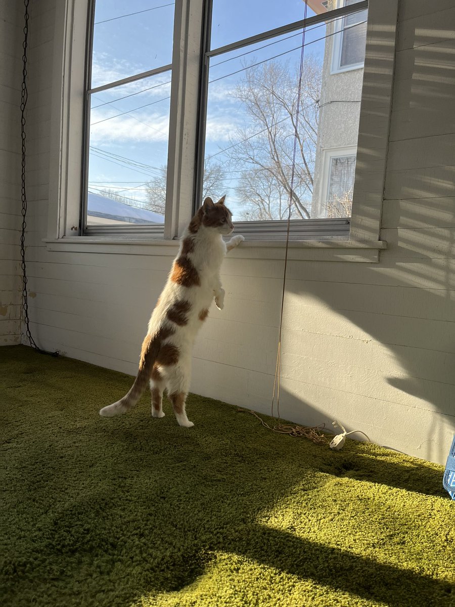 bess_clement's tweet photo. She’s exploring 💕 https://t.co/aqNV2eVvwe