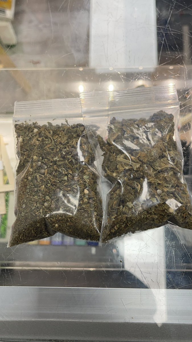 Just Anwar tweet media