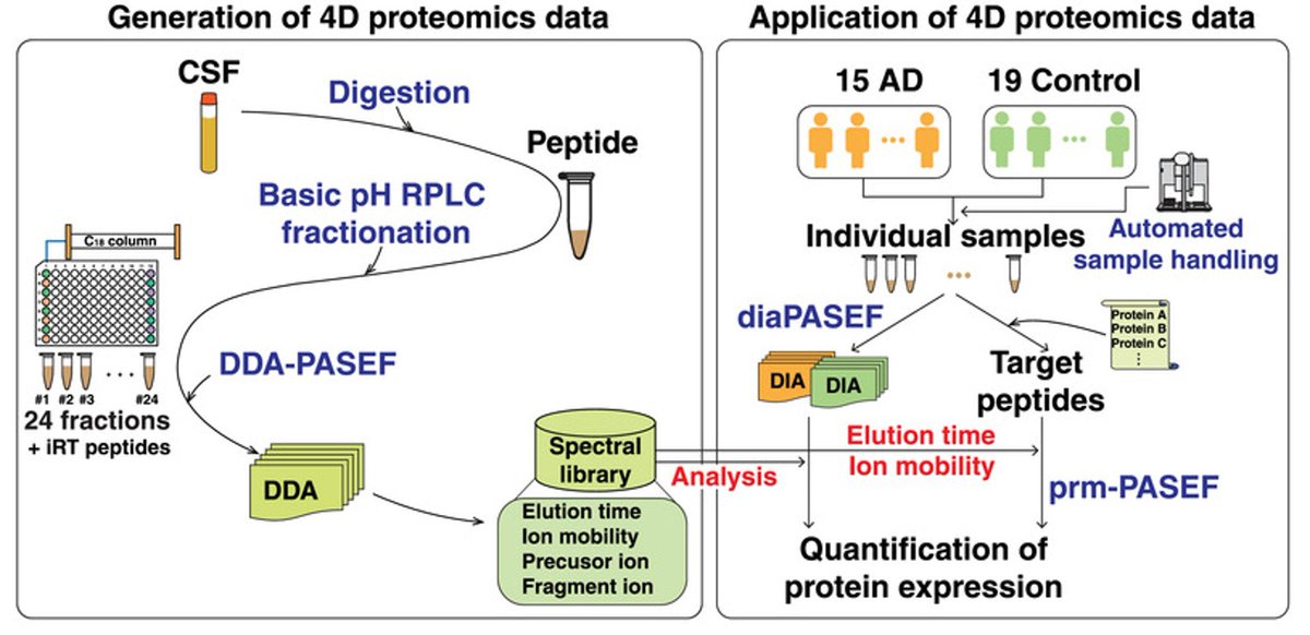 We are happy to present our recent work applying timsTOF in PASEF mode for cataloging peptides and proteins in CSF using 4D proteomics. We further utilized this to identify differentially abundant proteins in Alzheimer’s disease. #WileyProteomics