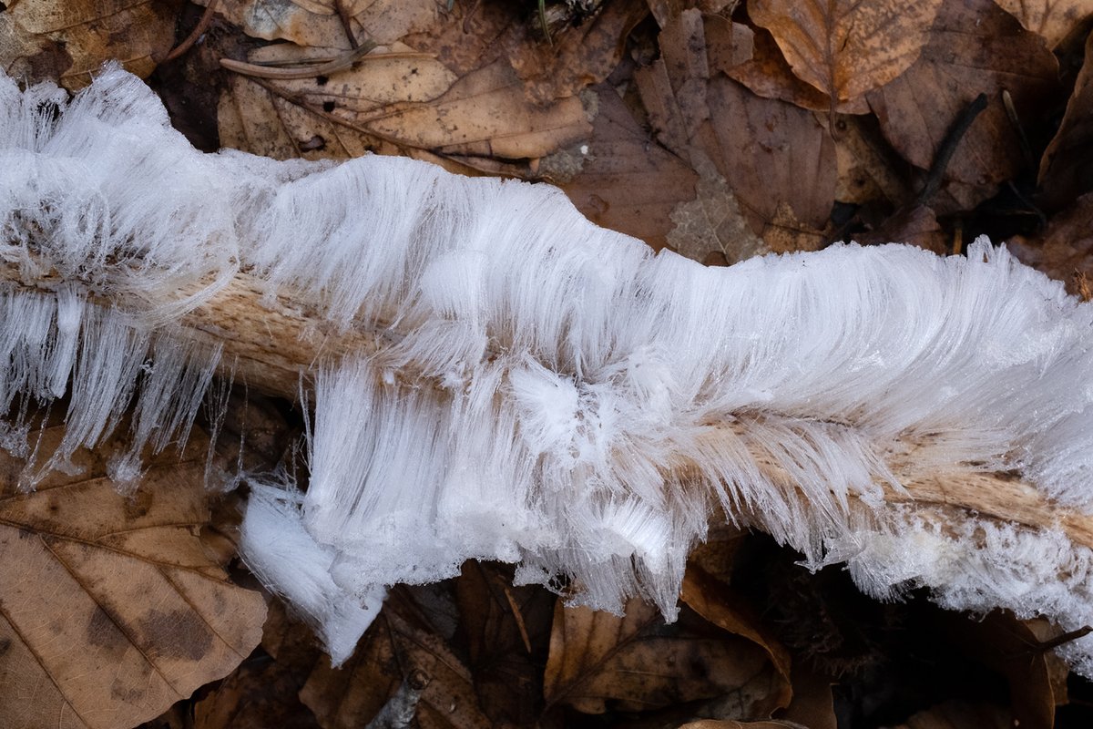 Hair ice day #HairIce