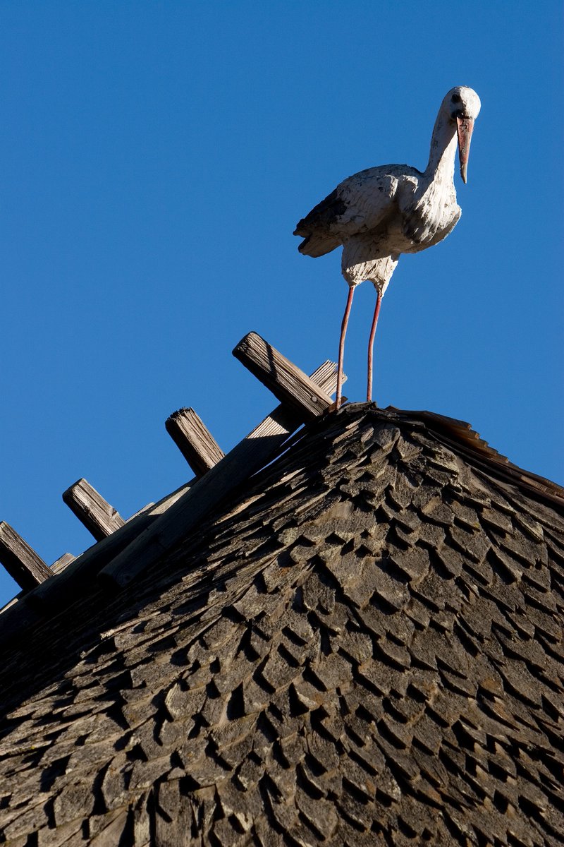 Next time you're in Solvang, make sure to look up. The storks of Solvang are found on rooftops around town and bring good luck.

Do you know how many there are?