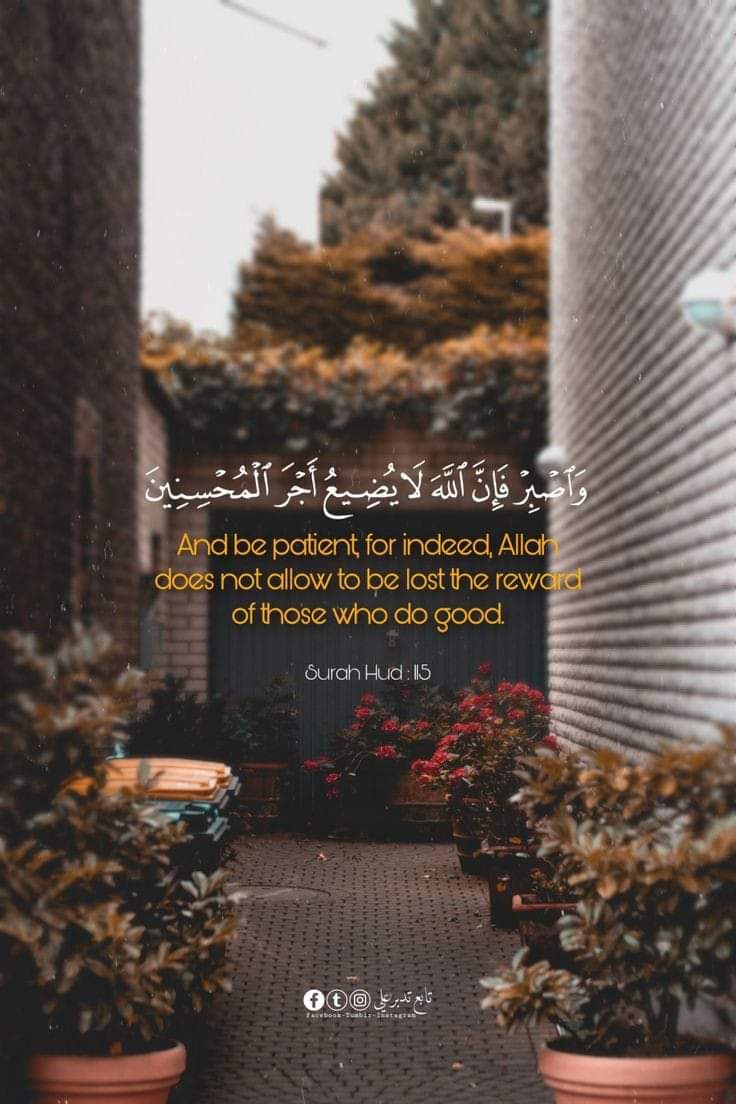 𝙉𝘼𝙕𝙄𝙎𝙃 𝘽𝘼𝙇𝙊𝘾𝙃 🇵🇰 tweet media