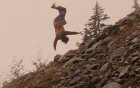 Taylor Fleming tweet media