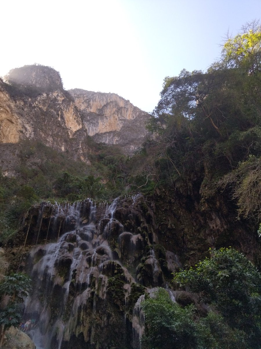 likefailed's tweet image. 