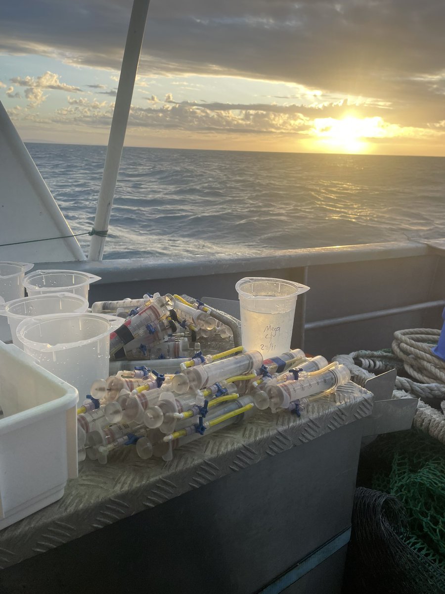 DinsdaleLab tweet media