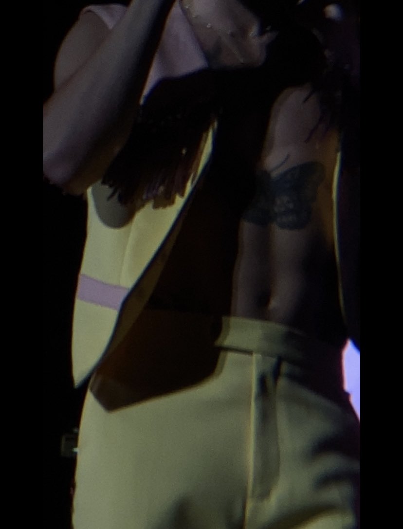 hallowedwaters's tweet photo. Still mourning the fact that my eyes will never be this close to @Harry_Styles abs ever again #hslot #auslot #hslotsyd night 2 https://t.co/s2fKlRG7Ja