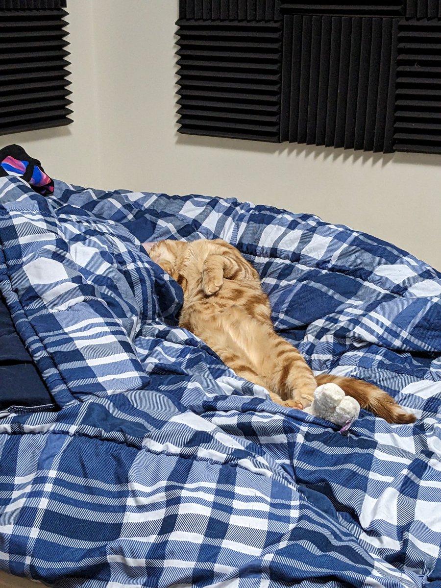 Mannyquinns's tweet photo. You'd think this little guy has the hardest life possible 😂 https://t.co/YZkMnQK7a8