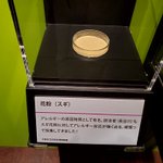 特別展「毒」でいきなり猛毒がきた!初っ端から刺激が強い!