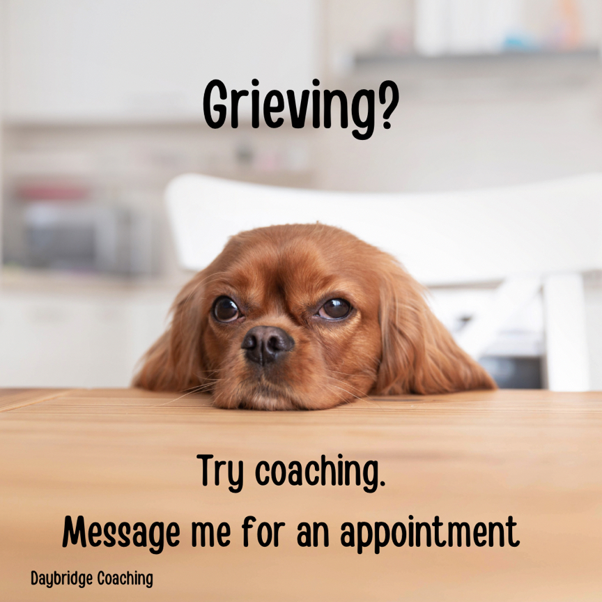 Daybridge Coaching tweet media