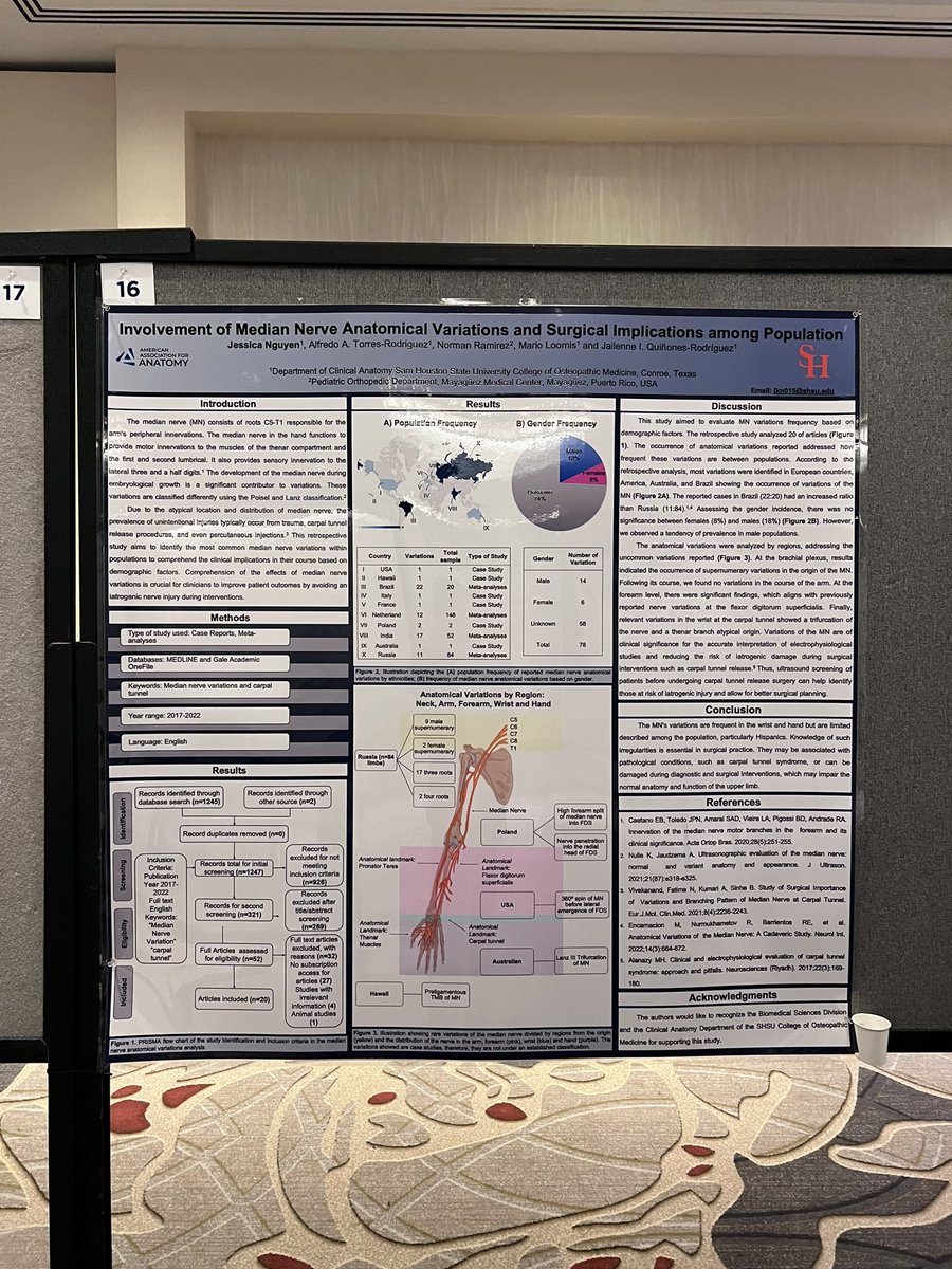 Presented a poster at my very first science conference this weekend! Thank you @AnatomyOrg @shsucom and my advisor for this amazing opportunity. 

#anatomy23 #science #anatomy #medicine #osteopathy #upperextremity #surgery #handsurgeon #mediannerve #research