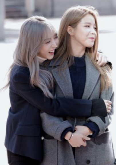 Daily MoonSun things tweet media