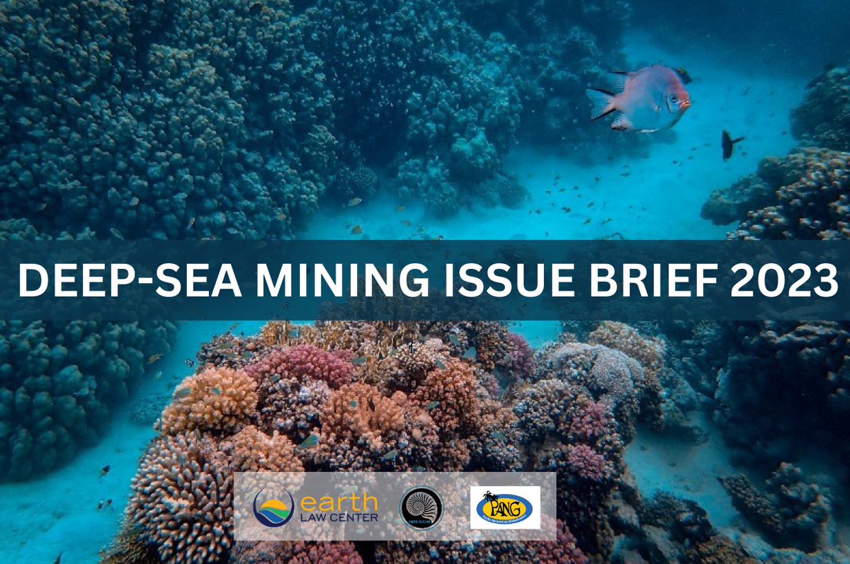 LAUNCHED! - Deep-Sea Mining issue brief 2023. 

Access legal brief here: pacificblueline.org/resources

#StopOceanCrime #BanToProtect #DoNoHarm #PacificBlueLine
