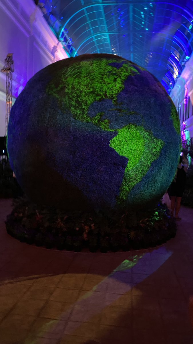 Alicia_MtzYuc's tweet photo. Un atractivo más en #Mérida Visiten el “Camino de Flores” y videomapping. Más de 20 mil plantas en el Pasaje de la Revolución junto a Catedral. Desde hoy y hasta el 16 de abril, de 9 de la mañana a 10 de la noche. Excelente propuesta @RenanBarrera @AyuntaMerida #VisitMerida https://t.co/ADR8AuznaU