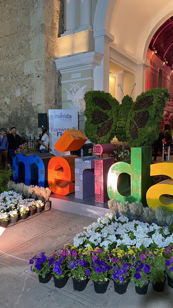 Alicia_MtzYuc's tweet photo. Un atractivo más en #Mérida Visiten el “Camino de Flores” y videomapping. Más de 20 mil plantas en el Pasaje de la Revolución junto a Catedral. Desde hoy y hasta el 16 de abril, de 9 de la mañana a 10 de la noche. Excelente propuesta @RenanBarrera @AyuntaMerida #VisitMerida https://t.co/ADR8AuznaU