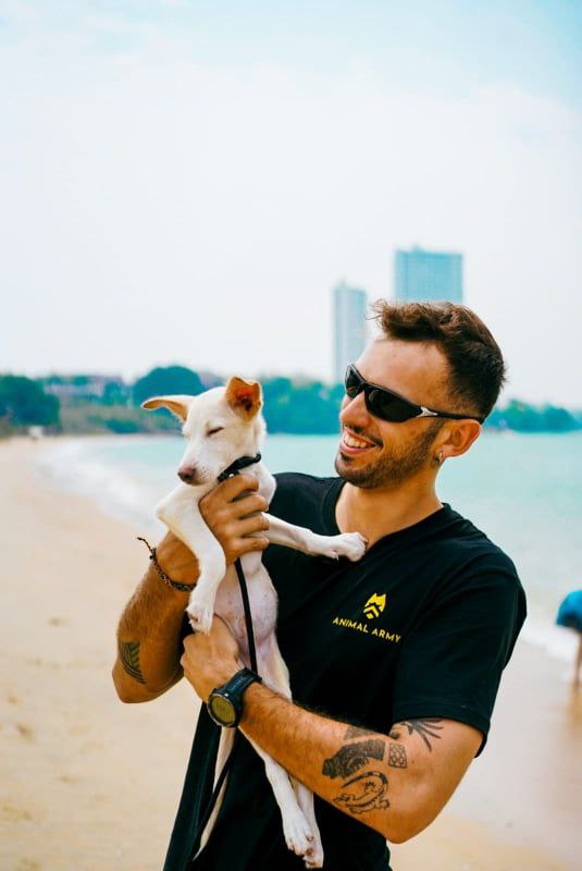 DelReyInu's tweet photo. Say "hello" to Sebastian, the first dog that the $DelRey community is helping. Sebastian is the first of many dogs that the $DelRey community will help.
#ANIMALARMY 🫶 #DELREY
#FLOKI $FLOKI #ELONMUSK #MAYEMUSK https://t.co/n3l3QwR9Dc