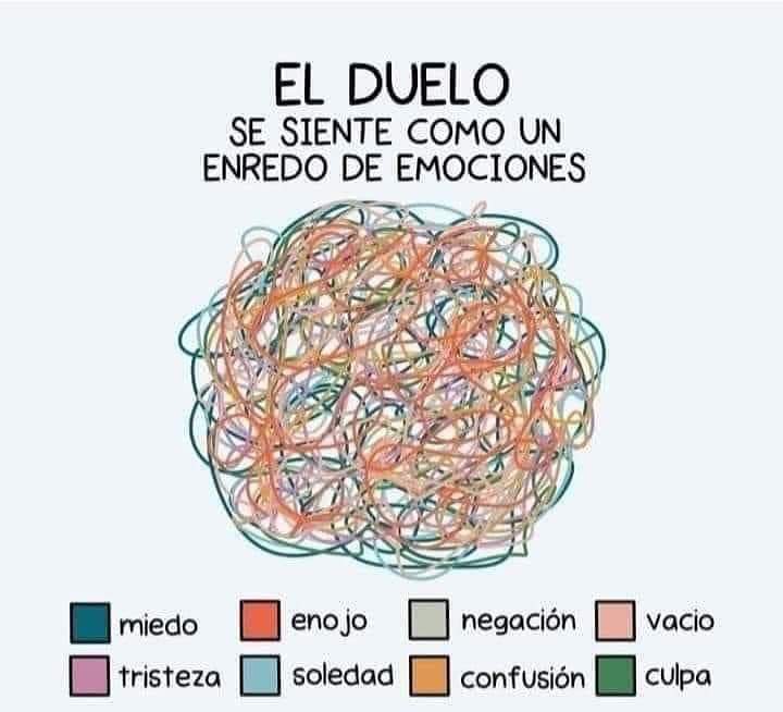 Mentes Brillantes (@marisol27960701) on Twitter photo 