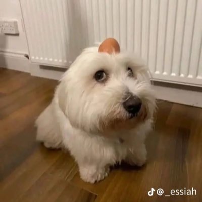 cloudbotz's tweet photo. #NewProfilePic https://t.co/VW3GzjxupC