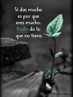 Eres mucho 😎