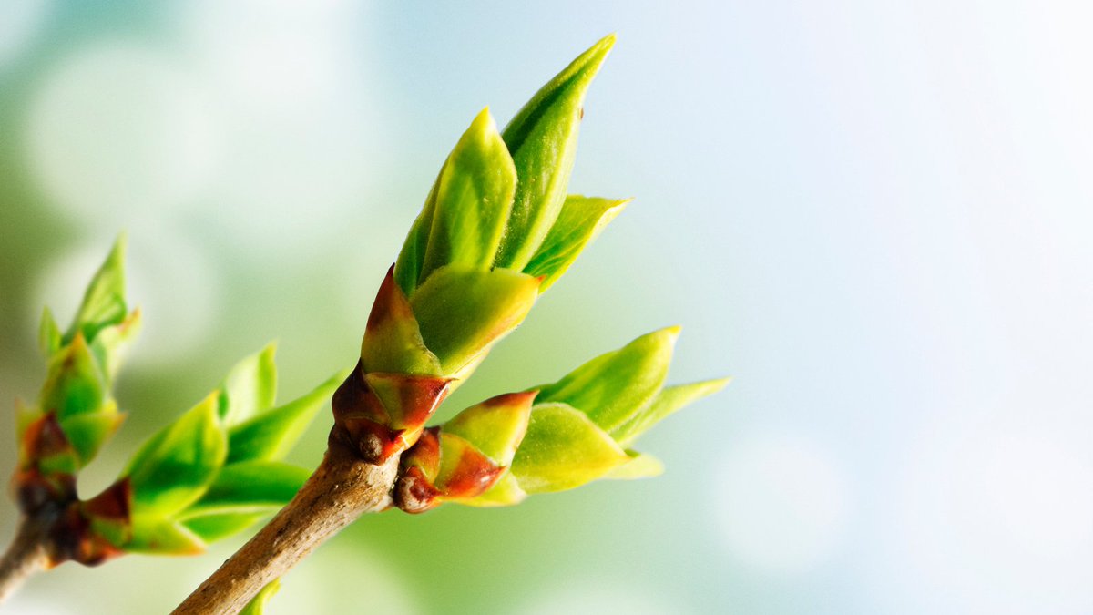 Apical Crop Science tweet media